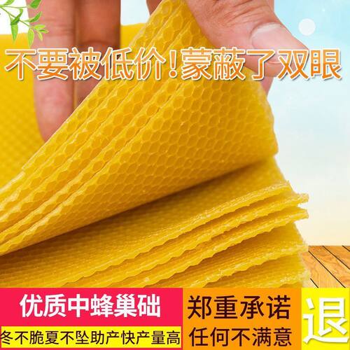 正品巢础蜂巢蜜蜂深房蜂蜡蜂箱养蜂工具蜜中蜂标准巢皮蜜蜂用具
