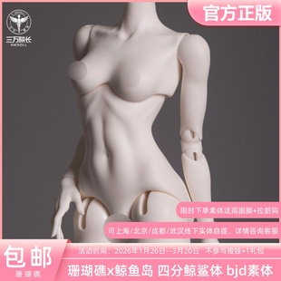 珊瑚礁x鲸鱼岛自制 4分鲸鲨体BJD娃娃素体sd娃娃 三万院长预售