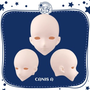 imomodoll 68叔BJD娃娃单头修狗狼人胶皮mjd娃娃Canis 搪胶娃头