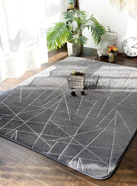 ns地毯地垫客厅卧室全铺床边加厚大面积轻奢灰色简约