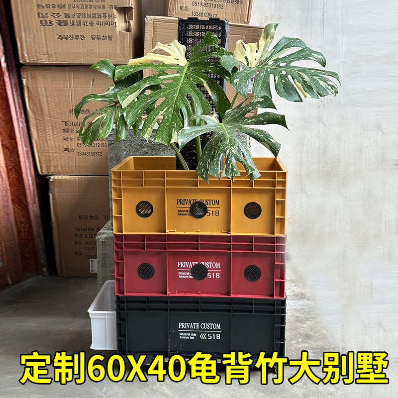 60x40超大龟背竹周转箱大别墅工业风可移动花箱大号花盆象耳芋盆图片