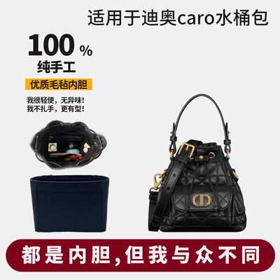 博主力荐！D家caro专属内胆包