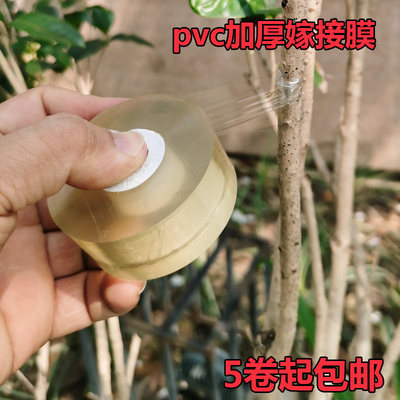 嫁接膜果树专用免打结透明