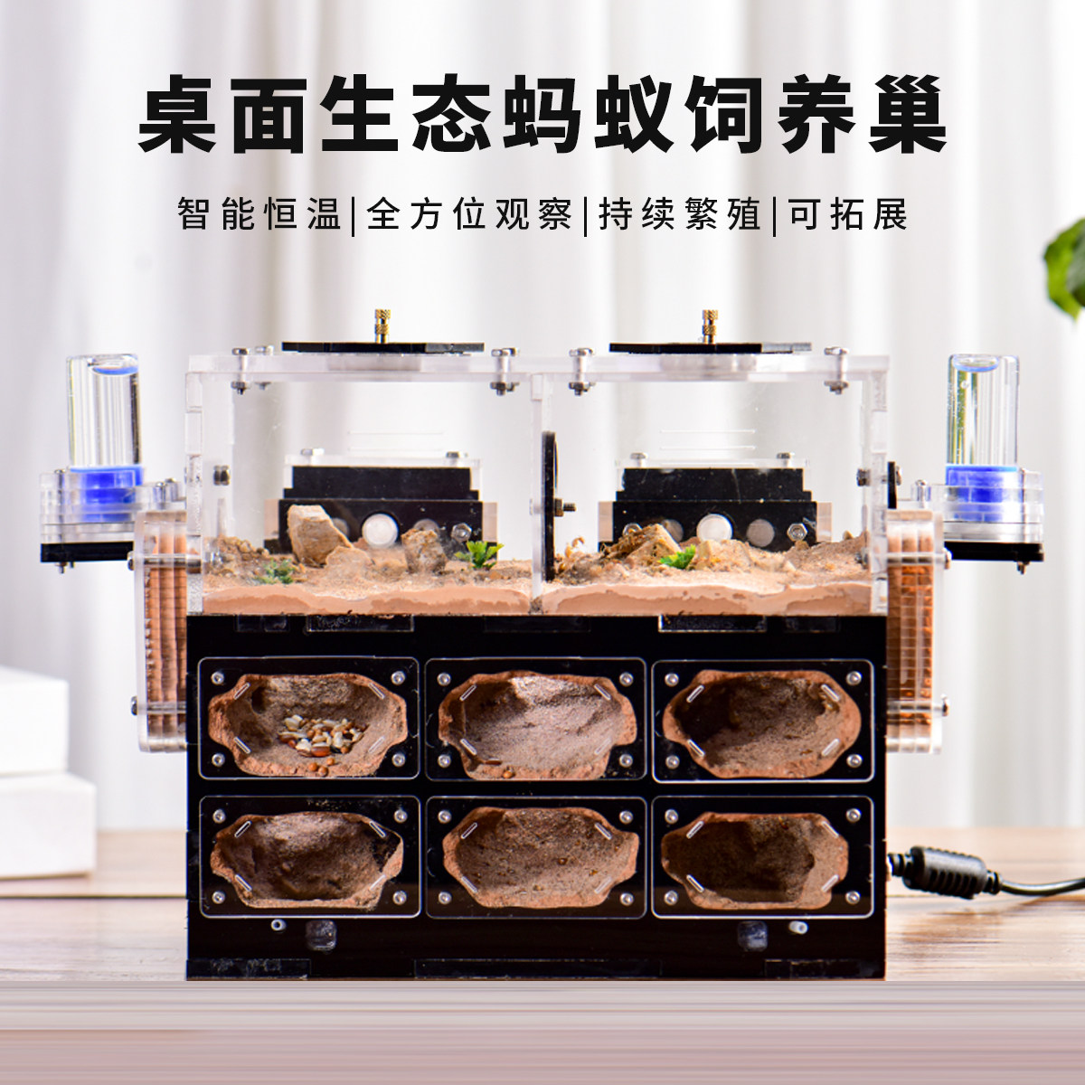 立体恒温蚁巢蚂蚁工坊猛蚁生态箱蚂蚁生态箱亲子宠物自然课堂