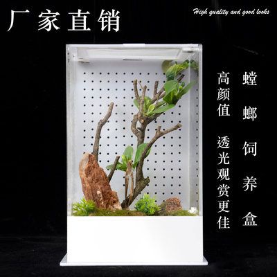 升级版昆虫饲养盒高档亚克力