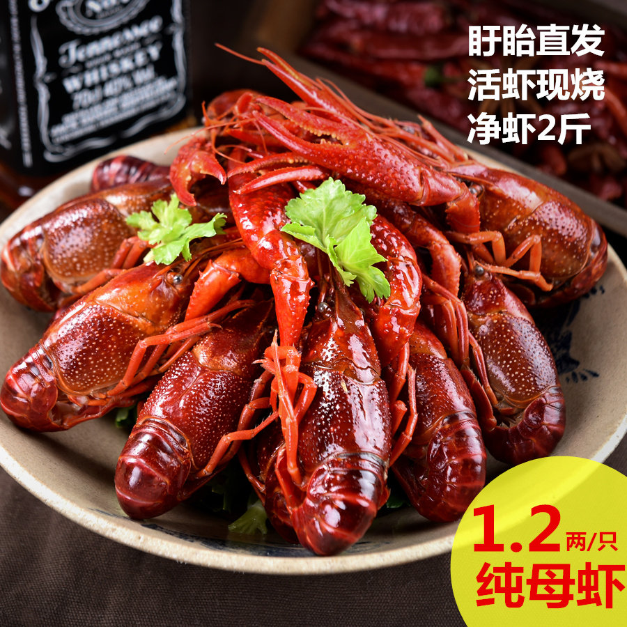 盱眙十三香龙虾 1两2/只纯母秘制配方 麻辣净虾2斤包邮一两以上