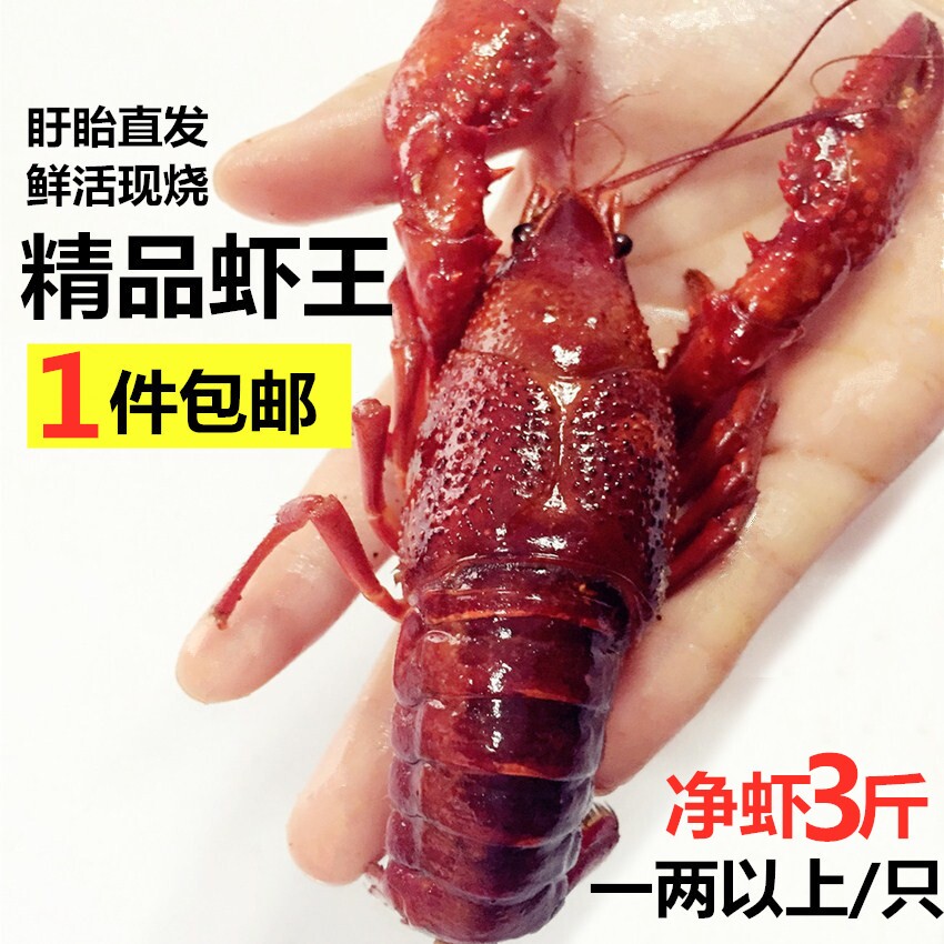 盱眙十三香龙虾 麻辣 香辣蒜泥包邮 大虾一两3斤秘制配方