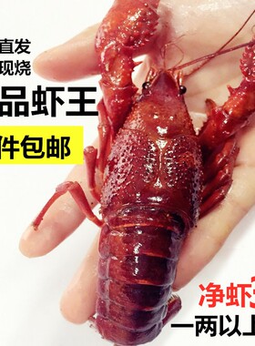 盱眙十三香龙虾麻辣鲜活香辣熟食