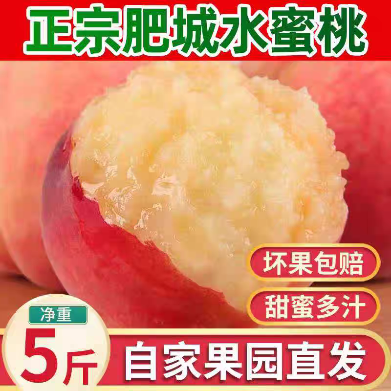 现摘正宗山东肥城水蜜桃脆甜新鲜孕妇水果香甜多汁包邮