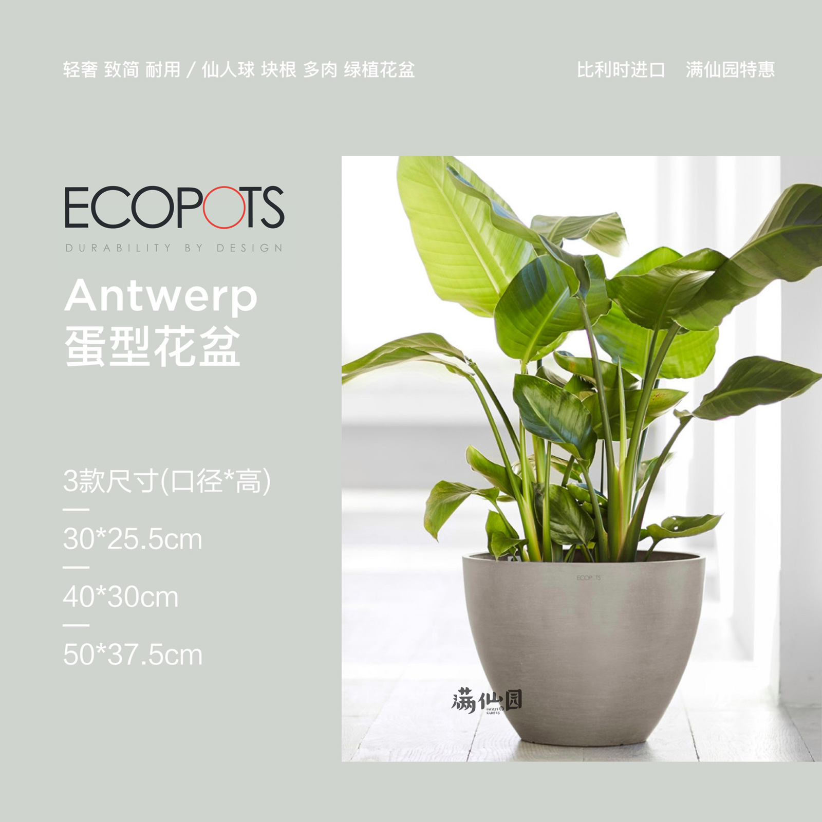 ECOPOTS怡棵比利时进口树脂蛋型30简约大号仙人球块根黑胶花盆-封面