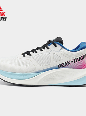 匹克态极双擎男款跑鞋缓震轻便秋冬运动鞋网面透气跑步鞋ET44241H