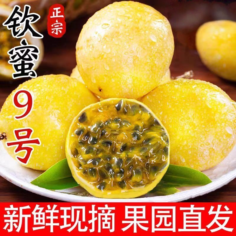 正宗钦蜜九号黄金百香果新鲜当季应季水果彩箱现发现摘现发批发价