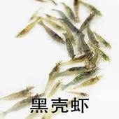 自家繁殖 观赏虾 宠物虾 樱花虾 除藻虾 黑壳虾