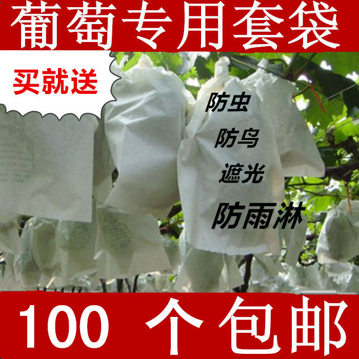 grape Bagging Dedicated Wholesale Bird Pest control fruit Bagging grape Paper Bags 300 individualin the Flower delivery/Flowers simulation/Plants gardening , Gardening supplies , Other Garden Supplies  category - from Buy2taobao.com to provide professional Taobao agent buy service