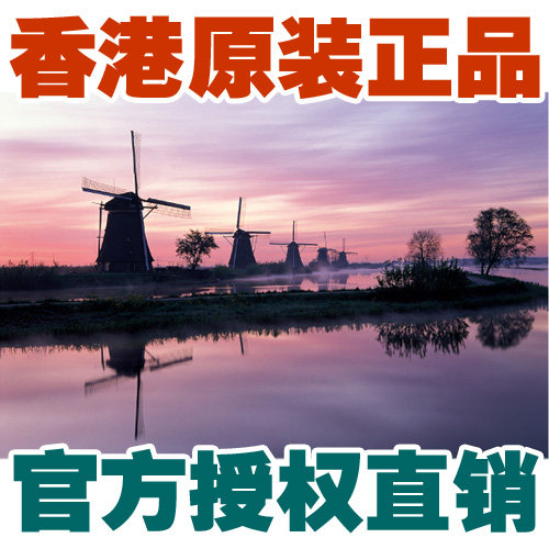 香港环保夜光荷兰智力拼图