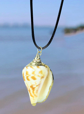 欧美创意海螺个性精致简约现代