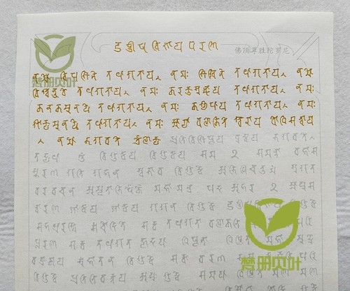 悉昙体成人梵文经文描红财富