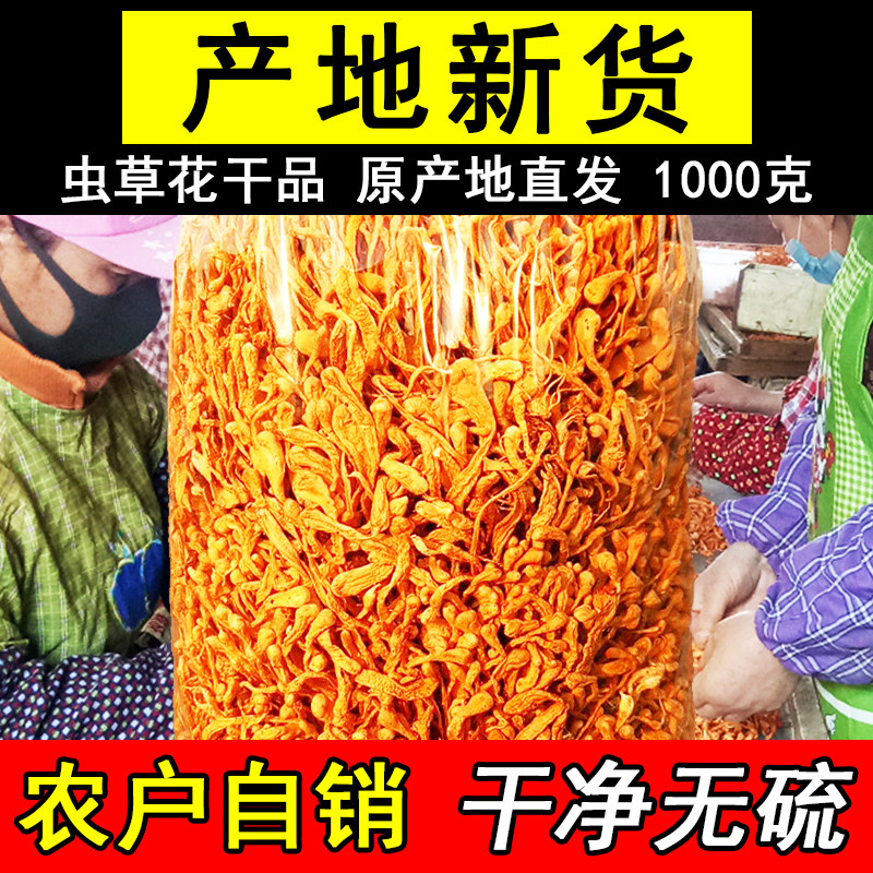 虫草花干货2斤孢子头非野生新鲜北虫草蛹虫草煲汤材料1公斤