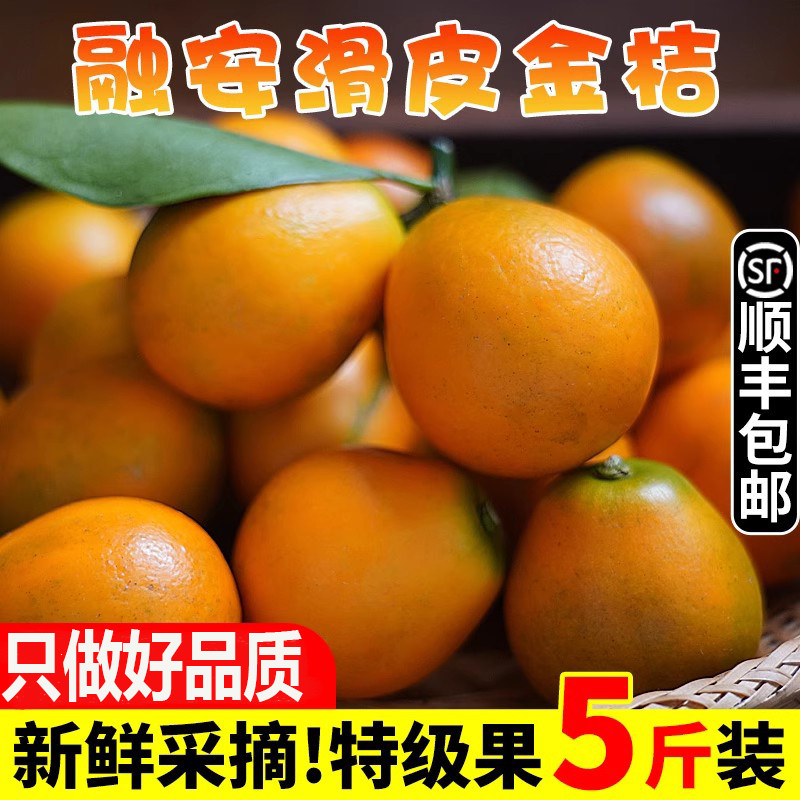 正宗广西融安金桔5斤滑皮脆甜新鲜现摘当季孕妇小金橘子特大水果,水产肉类/新鲜蔬果/熟食,桔子,淘宝优惠券,粉丝福利购,淘宝优惠卷