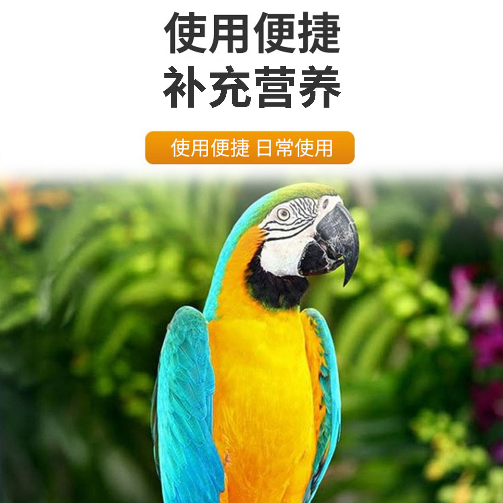 普欣诺鹦鹉超能电解多维鸟用电解质小宠营养补充剂100g厂家