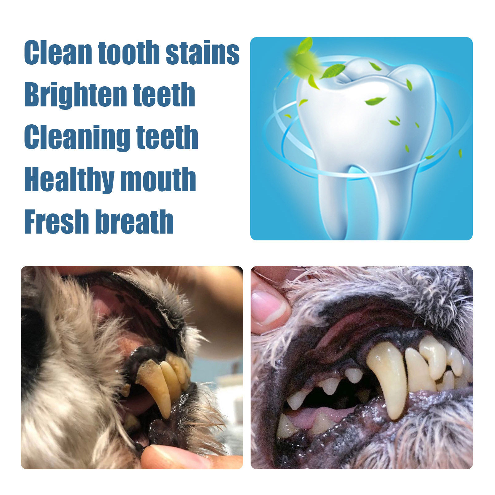 Yegbong 宠物美牙笔狗狗猫咪牙垢牙猫狗宠物洁牙笔结石清洁工具