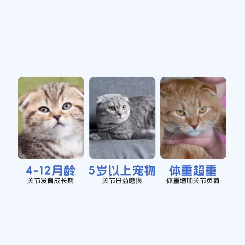 普欣诺鲨鱼软骨素钙片狗用犬小型犬200片宠物狗狗关节营养软骨素