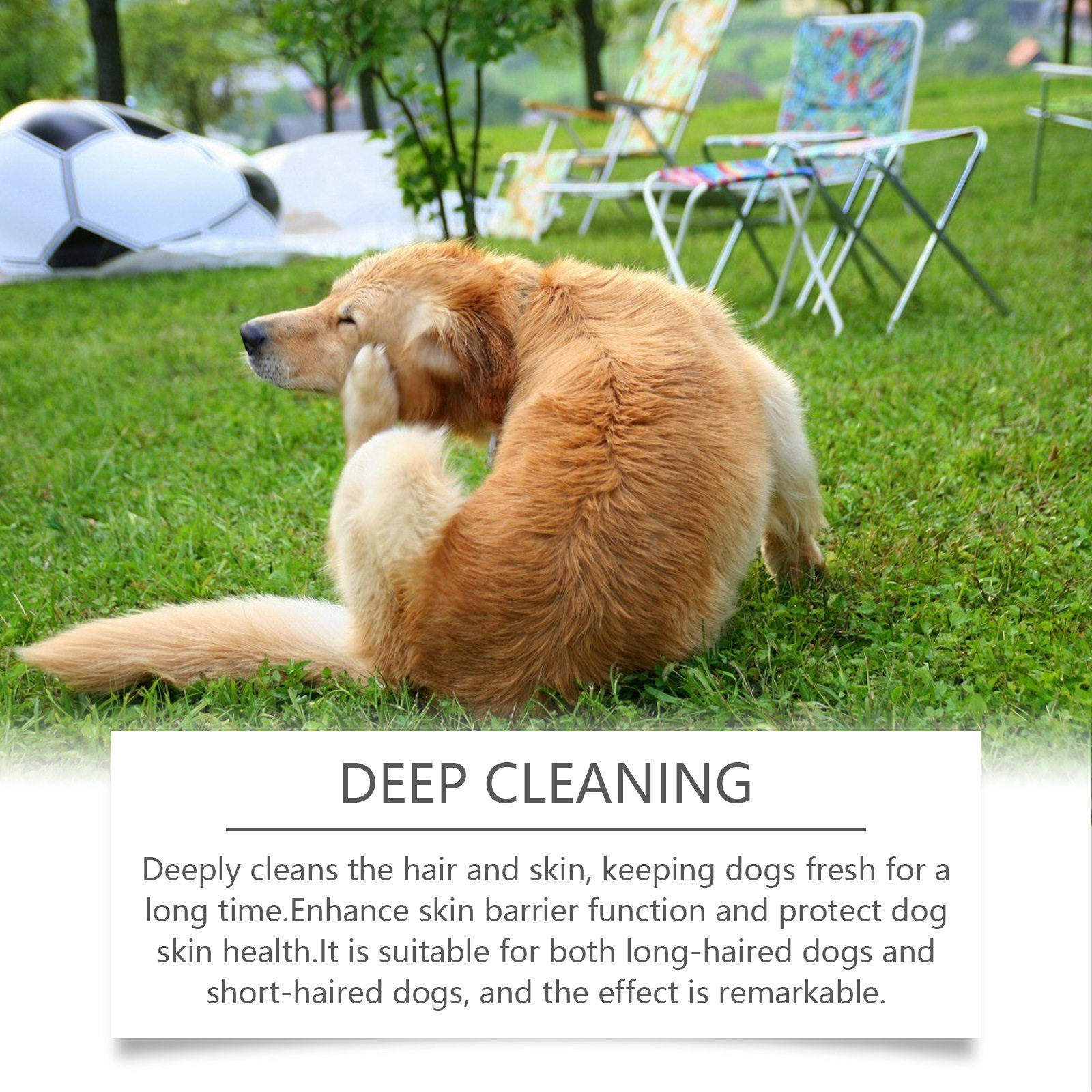 Yegbong  犬用洗发水 宠物狗狗毛发温和清洁洗发水滋润柔顺不打结