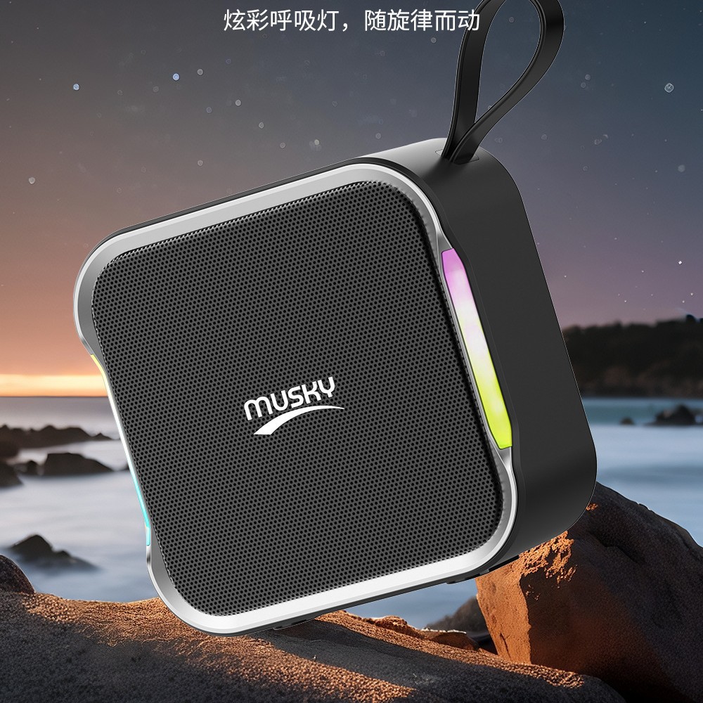 DY53蓝牙音响户外广场舞家用K歌无线话筒式手提音箱一体musky