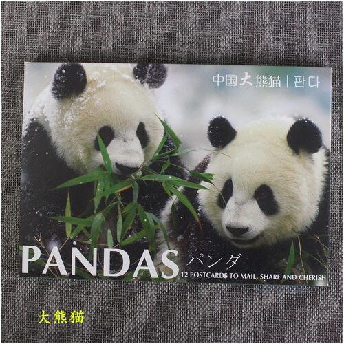 特色国宝大熊猫旅游纪念品明信片