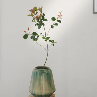 海岛春花盆景花叶石斑木盆栽室内阳台客厅室内好养活趣味绿植盆栽