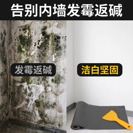 内墙天花渗水发霉返碱背水面渗透结晶封闭管根无机修补漏抗渗1号