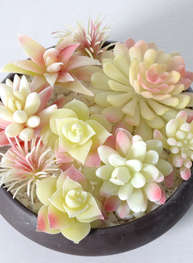 白色系植绒仿真多肉植物绿植 家居装饰迷你摆件组合人造盆栽盆景