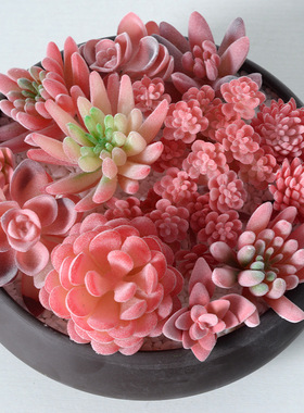 红色系植绒仿真多肉植物绿植 家居装饰迷你摆件组合人造盆栽盆景