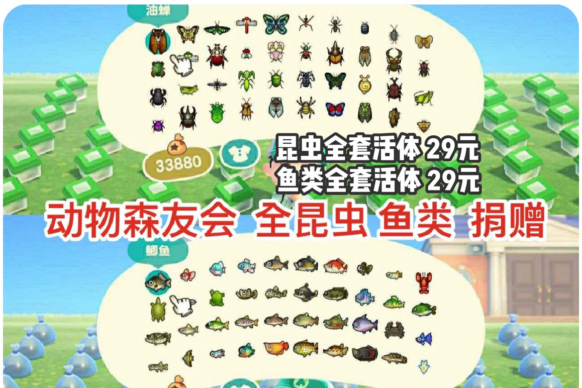 动森 动物之森稀有鱼全收集 活体鱼类全套素材博物馆翻车鱼皇带鱼