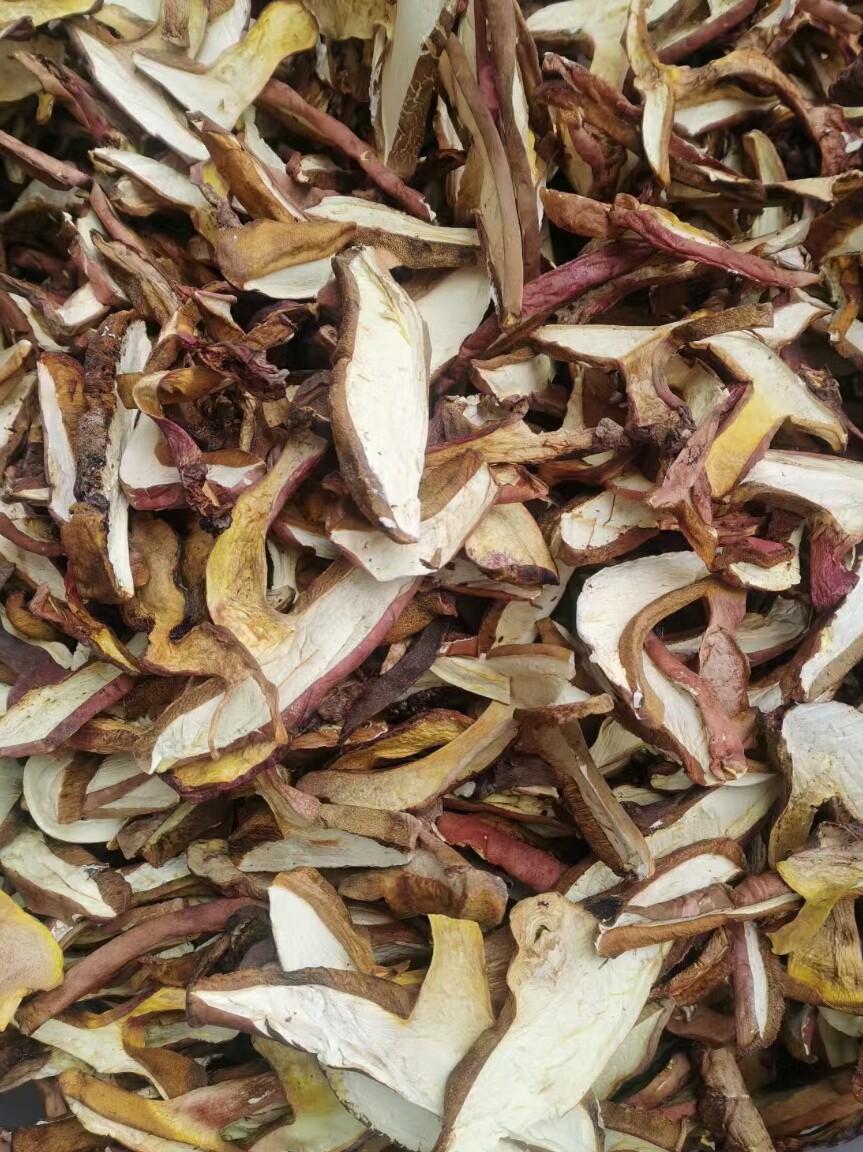 云南特产野生菌红葱牛肝菌干片