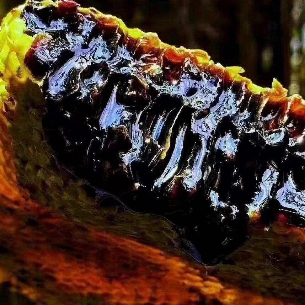 云南黑蜂蜜黑蜜米团花蜜蜂蜜土特产