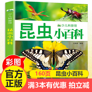 昆虫记奇妙 少儿科普图画书 大自然动物百科全书儿童启蒙认知昆虫世界认知探索图画书 155页彩图注音版 昆虫小百科