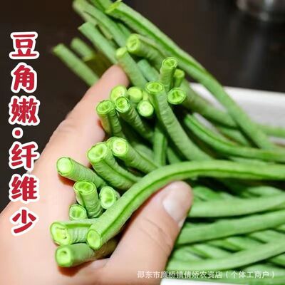 901绿先锋长豆角种子特长豇豆种子翠绿色长豆角高产春秋蔬菜种子