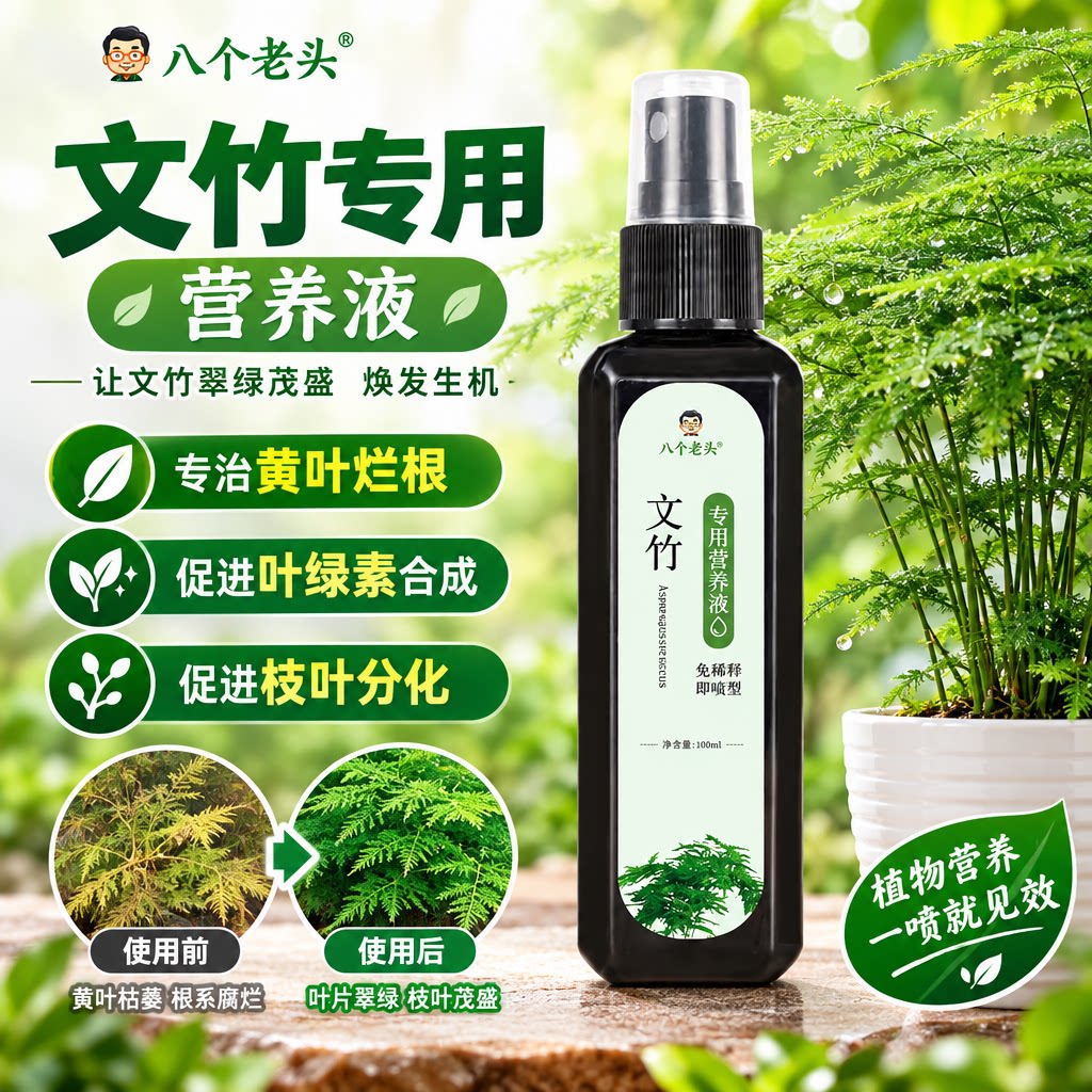 文竹专用营养液预防黄叶高效花肥料促生长生根免稀释液体肥一喷绿