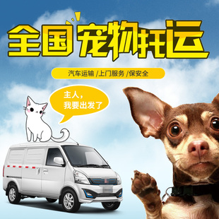 全国宠物托运爱宠出行汽运上门服务猫狗快递宠物运输送意外保险