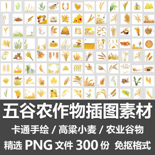 五谷农作物插图素材 卡通手绘高粱小麦水稻穗农田粮食png免抠素材