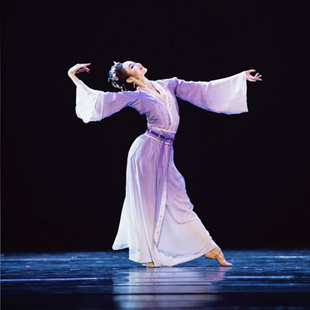 古典舞荷花奖易安醉同款演出服独舞表演服飘逸中国风舞蹈服装定制