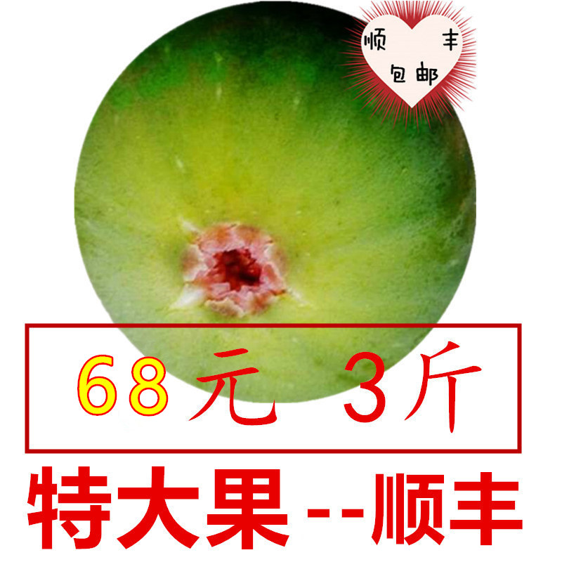 特大果，3斤新鲜无花果甜糯威海青皮无花果，优选大果