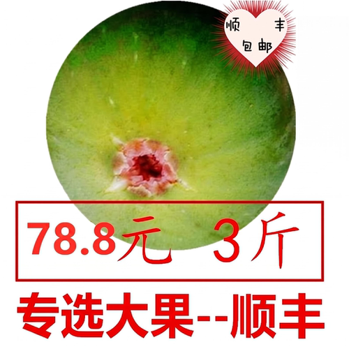 专选大果，3斤新鲜无花果甜糯威海青皮无花果，优选大果