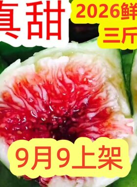 新鲜无花果软糯威海特产