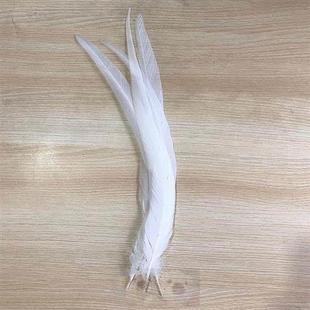 打折diy羽毛白色公鸡尾羽毛大羽毛长羽毛长鸡尾毛舞台演出道具