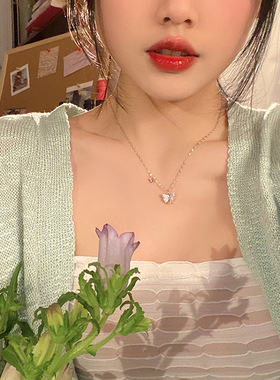 ins闪钻蝴蝶项链小众设计感轻奢大小蝴蝶锁骨链 微镶锆石锁骨