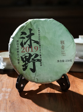 深山古树野生茶饼六堡茶桂青