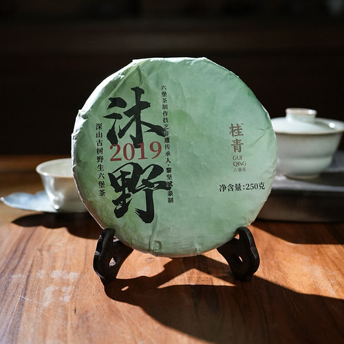 深山古树野生茶饼六堡茶桂青