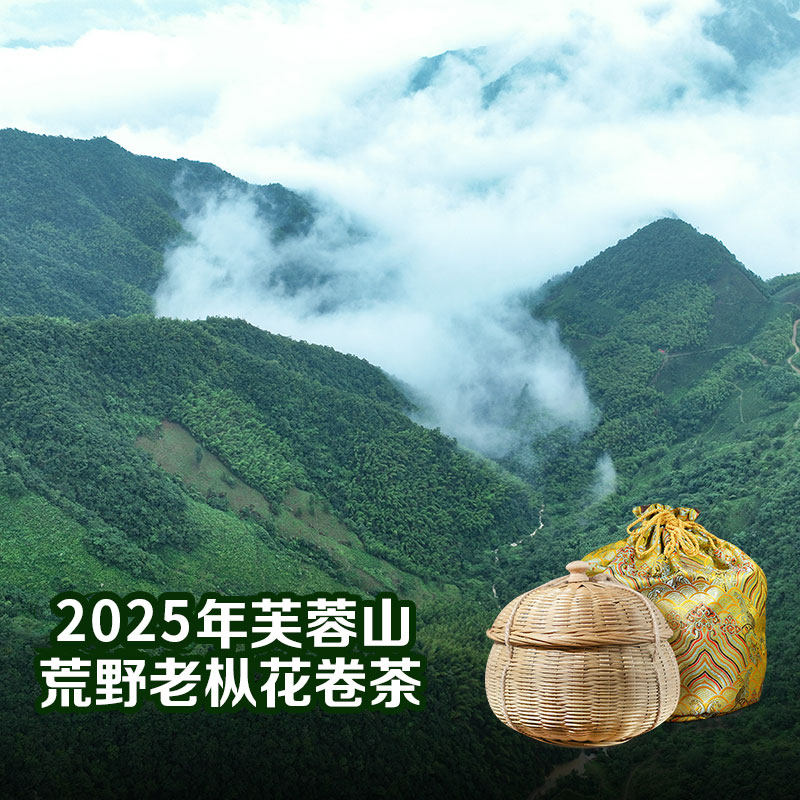 芙蓉山卷荒野老枞花卷茶松压安化黑茶送试饮1031